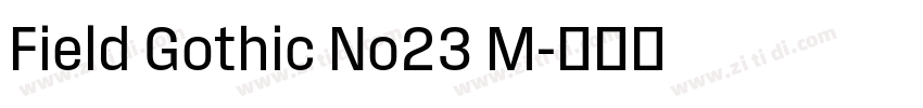 Field Gothic No23 M字体转换